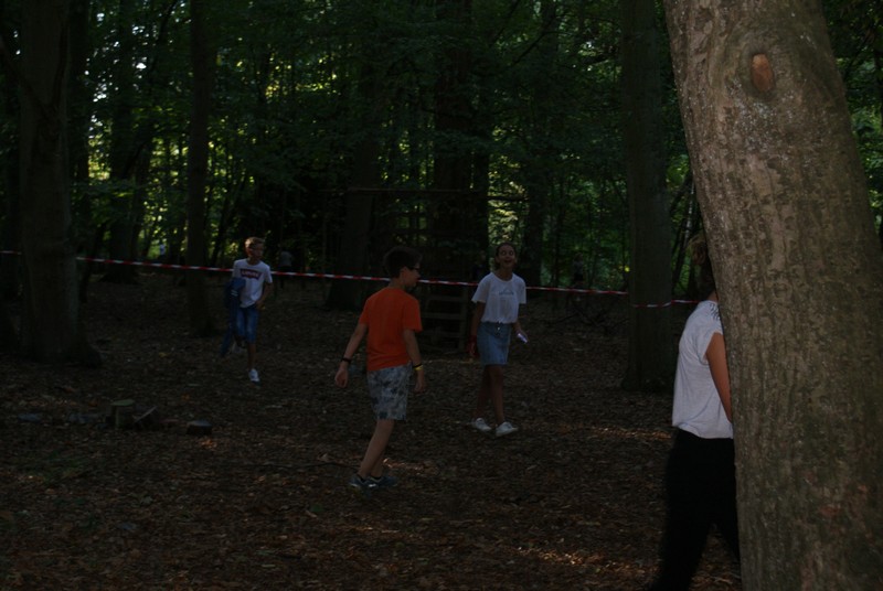 Willekeurige afbeelding uit het fotoalbum