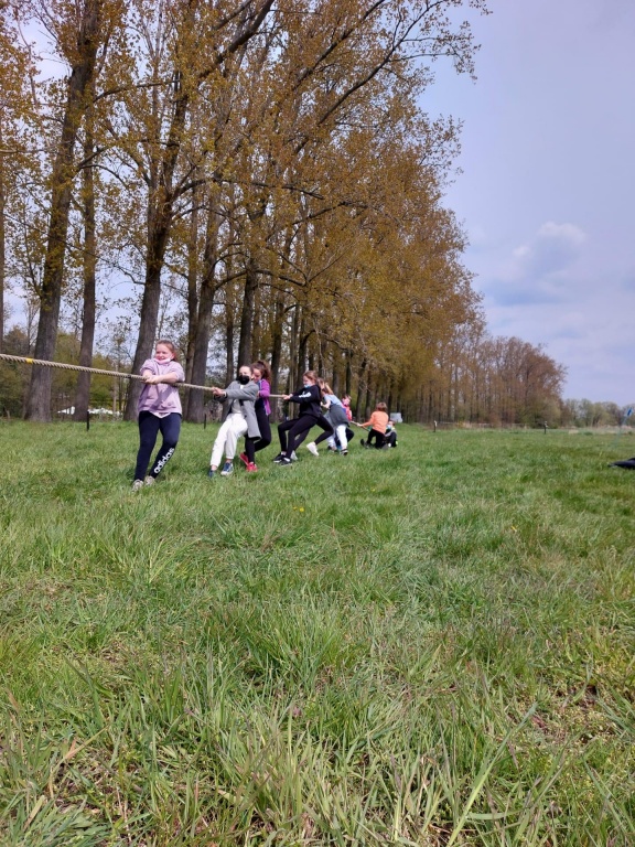 Willekeurige afbeelding uit het fotoalbum