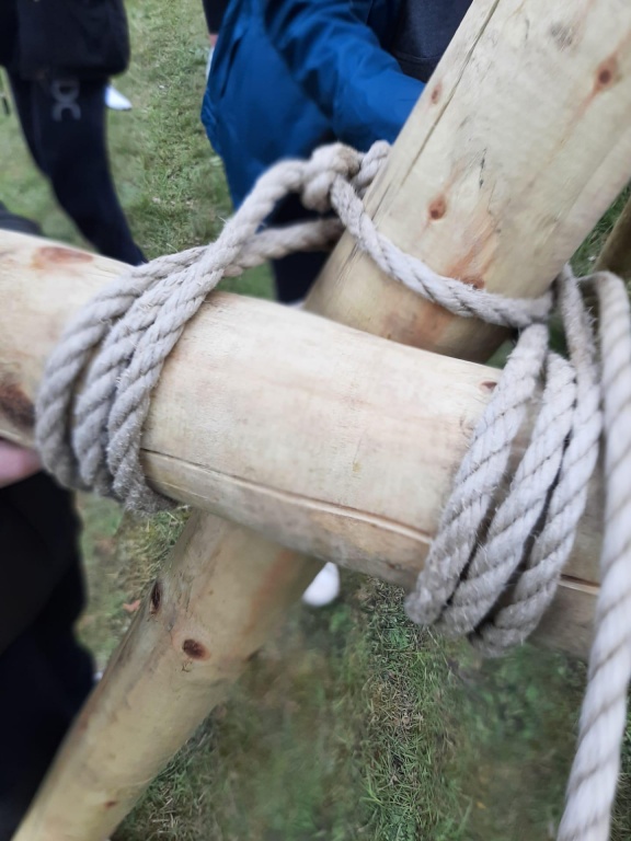 Willekeurige afbeelding uit het fotoalbum