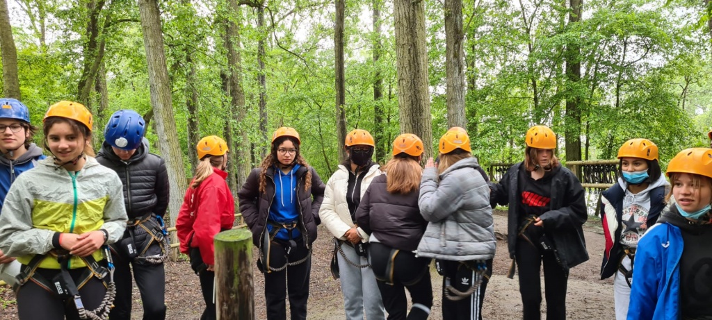Willekeurige afbeelding uit het fotoalbum