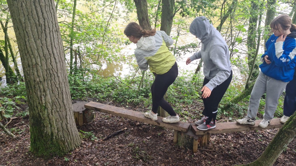 Willekeurige afbeelding uit het fotoalbum