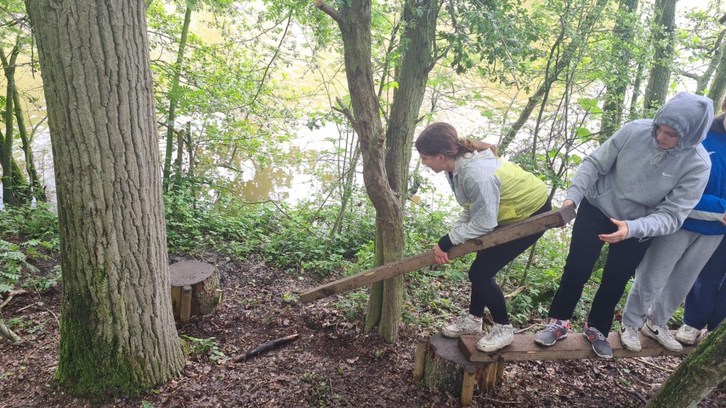 Willekeurige afbeelding uit het fotoalbum