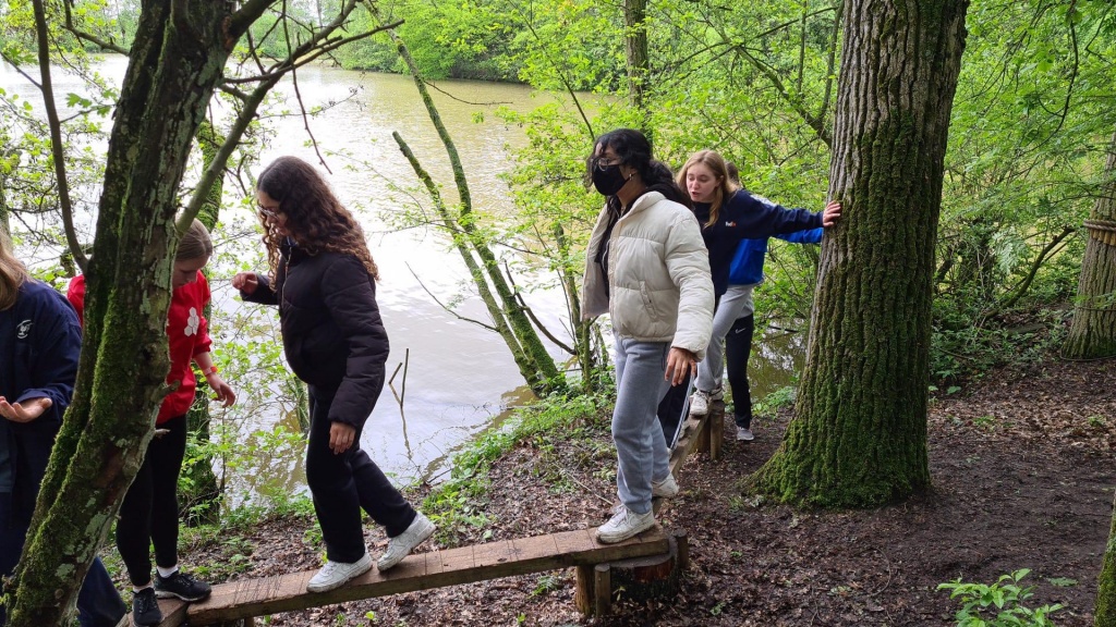 Willekeurige afbeelding uit het fotoalbum
