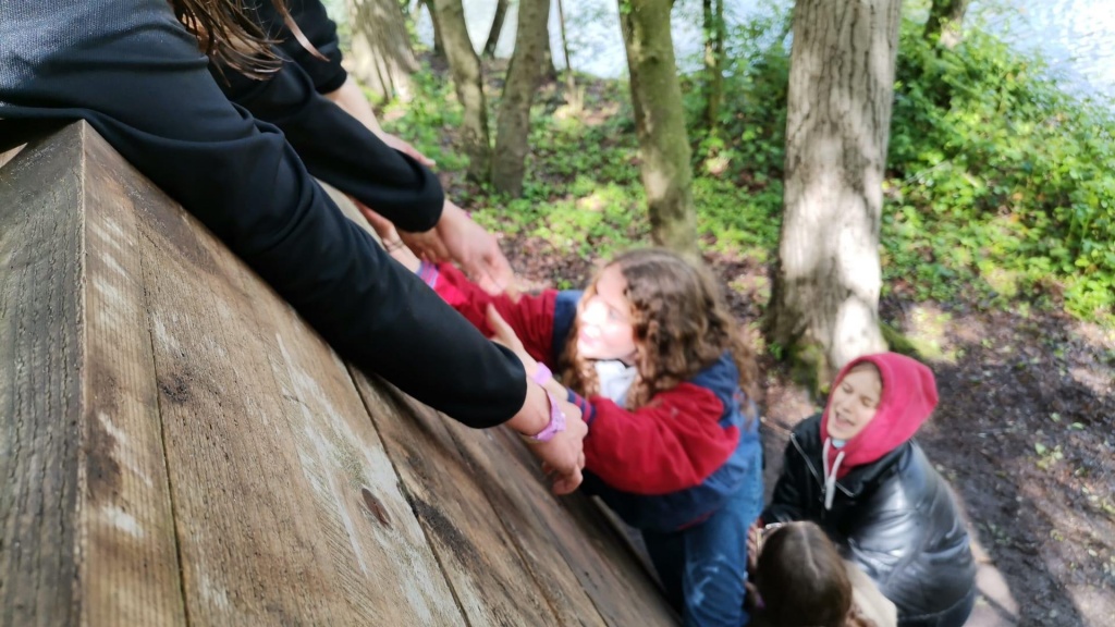 Willekeurige afbeelding uit het fotoalbum