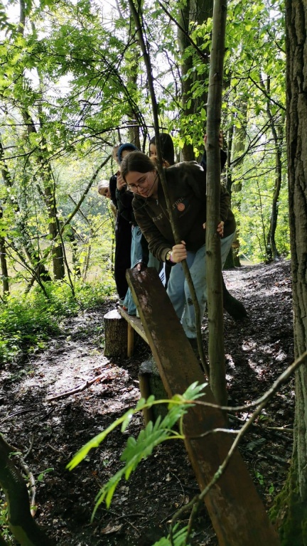 Willekeurige afbeelding uit het fotoalbum