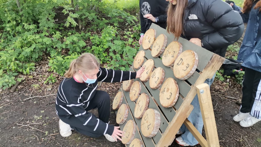 Willekeurige afbeelding uit het fotoalbum