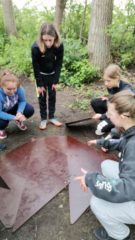 Willekeurige afbeelding uit het fotoalbum