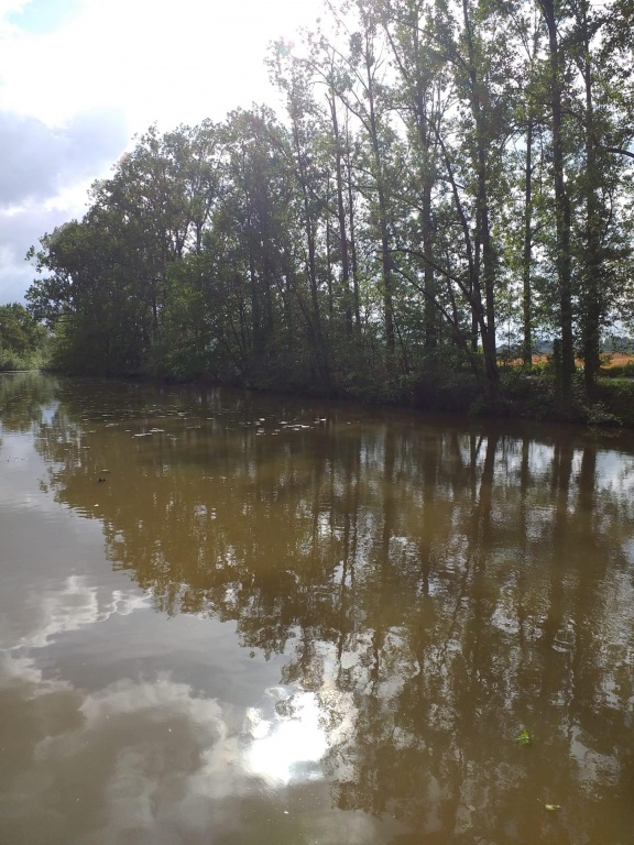 Willekeurige afbeelding uit het fotoalbum