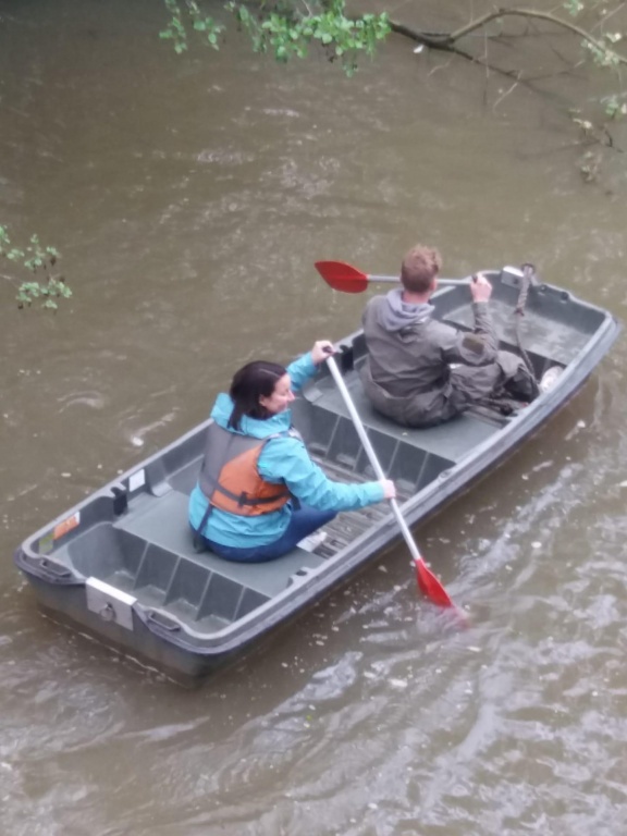 Willekeurige afbeelding uit het fotoalbum