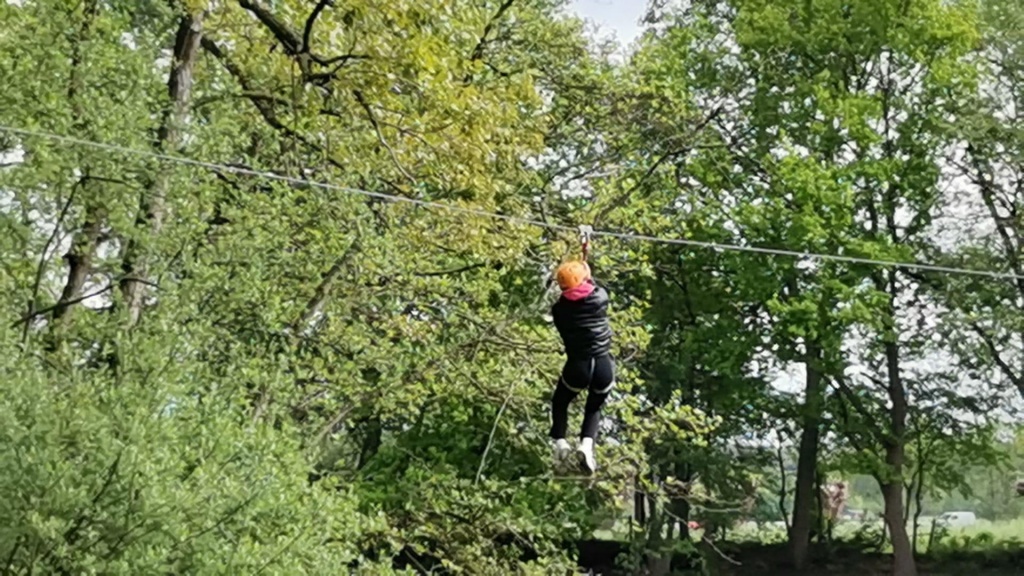 Willekeurige afbeelding uit het fotoalbum
