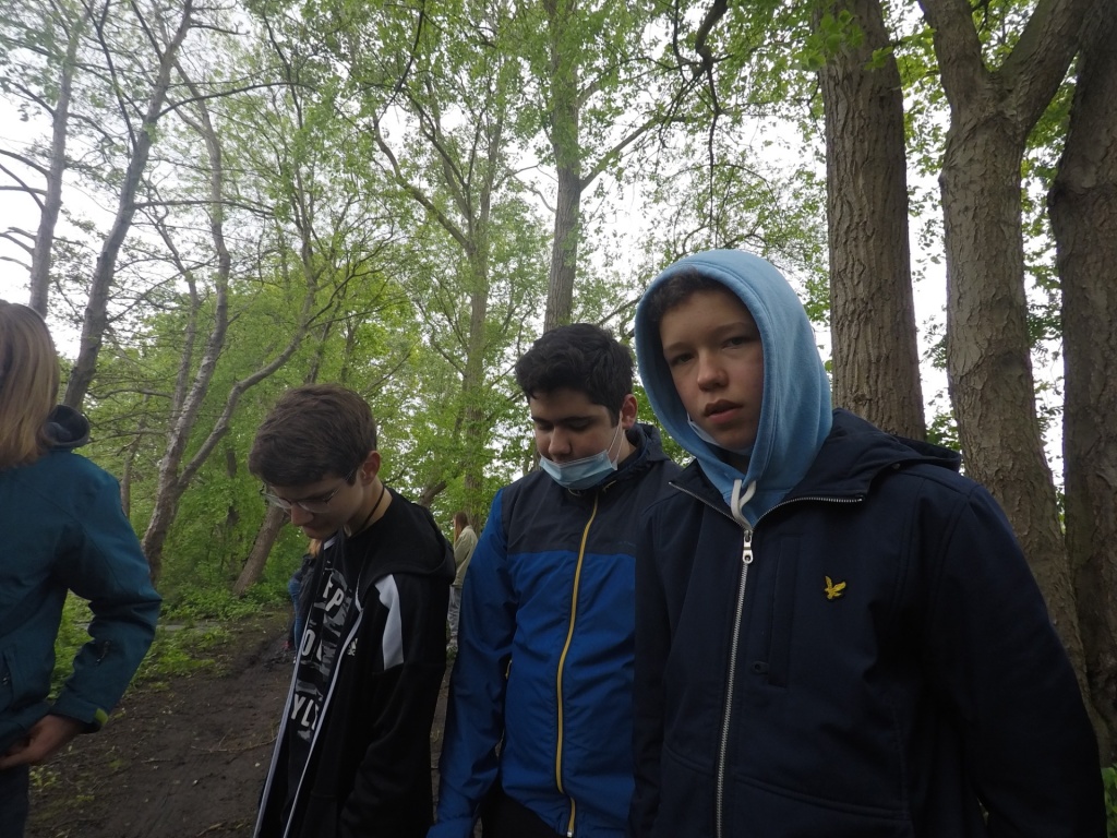 Willekeurige afbeelding uit het fotoalbum