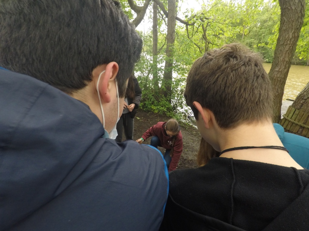 Willekeurige afbeelding uit het fotoalbum