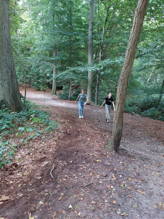 Willekeurige afbeelding uit het fotoalbum