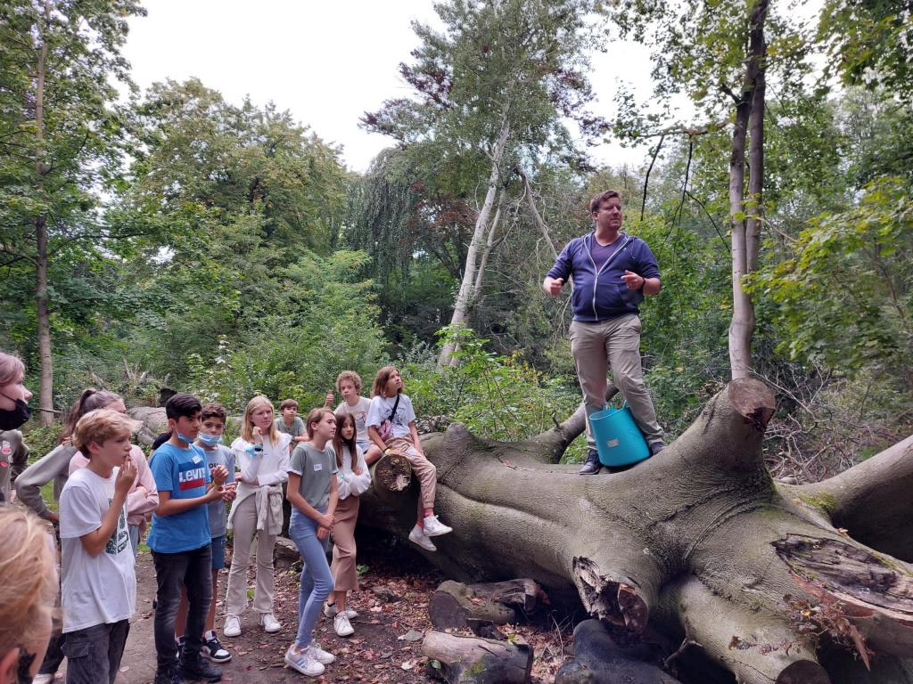 Willekeurige afbeelding uit het fotoalbum