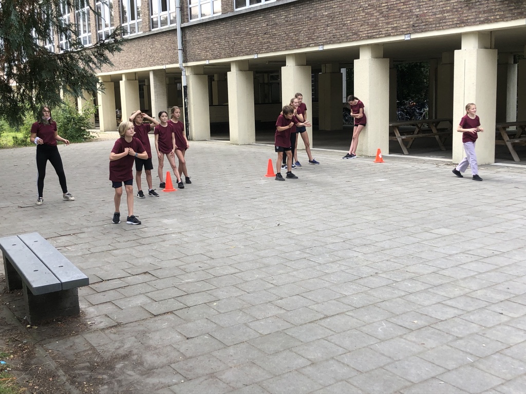 Willekeurige afbeelding uit het fotoalbum
