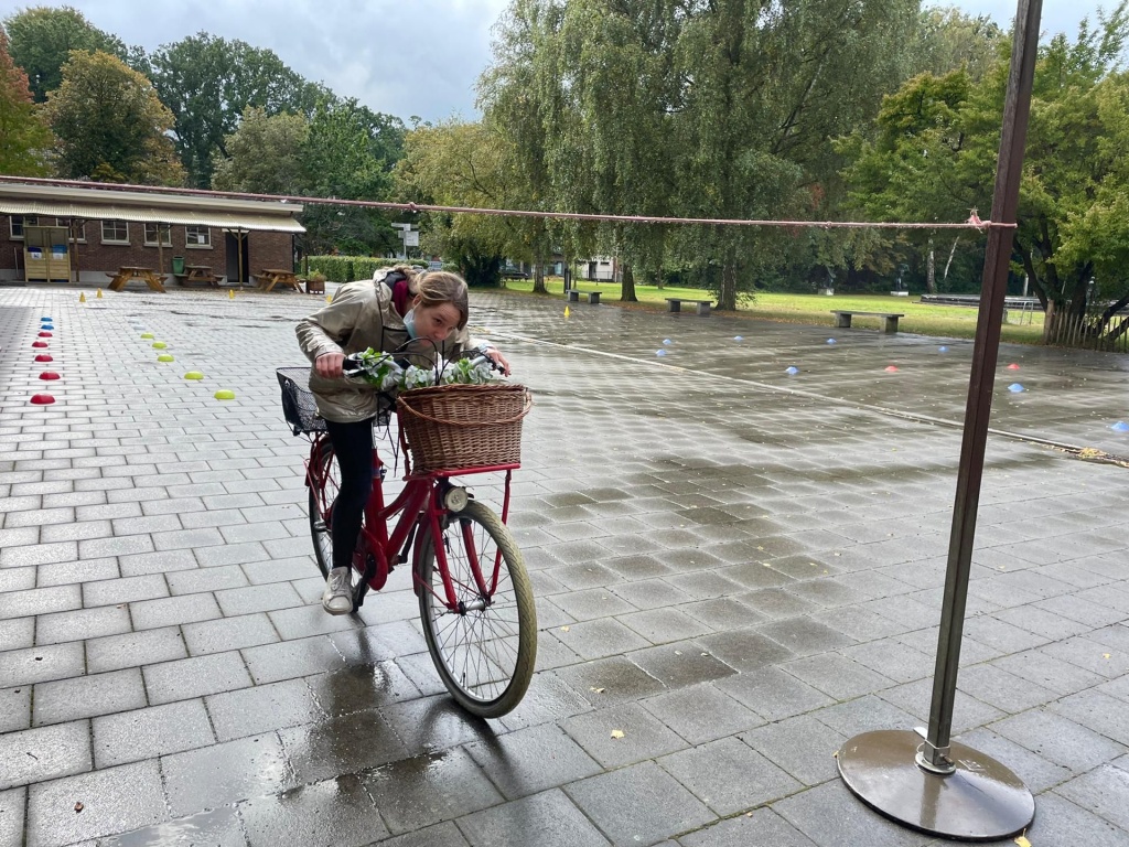 Willekeurige afbeelding uit het fotoalbum
