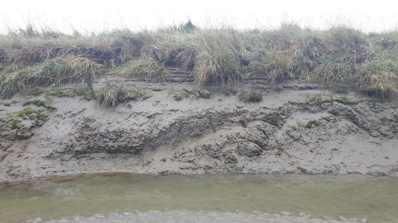 Willekeurige afbeelding uit het fotoalbum