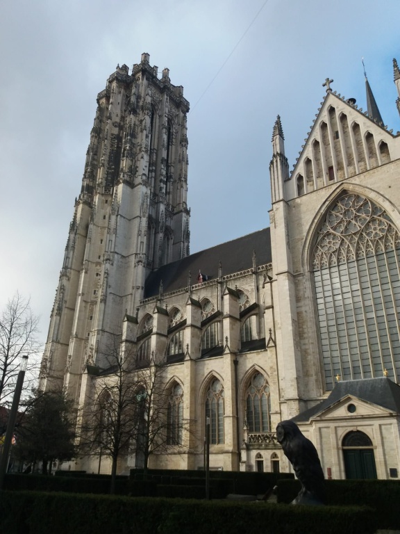 Willekeurige afbeelding uit het fotoalbum