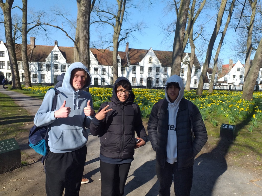 Willekeurige afbeelding uit het fotoalbum