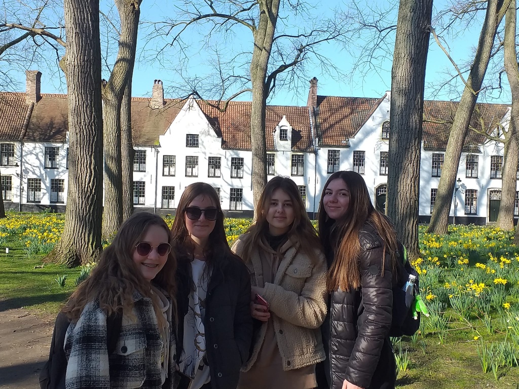 Willekeurige afbeelding uit het fotoalbum