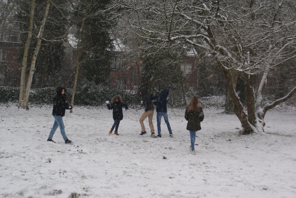 Willekeurige afbeelding uit het fotoalbum