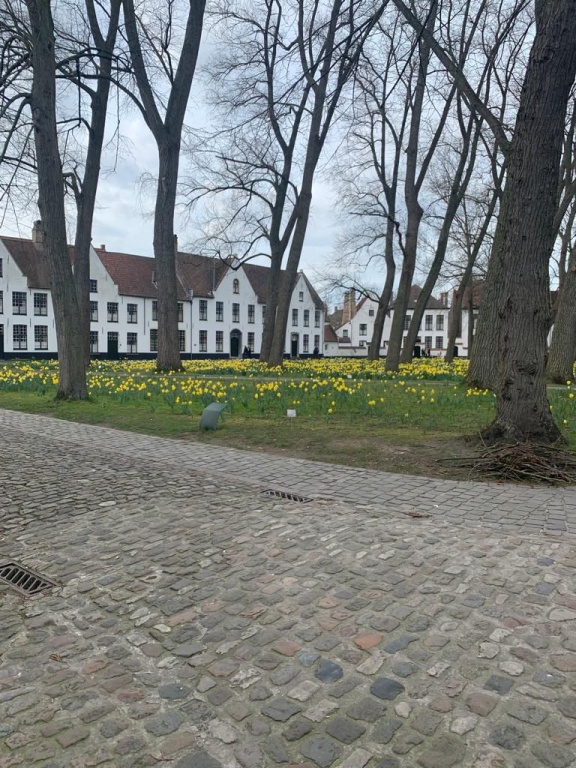 Willekeurige afbeelding uit het fotoalbum