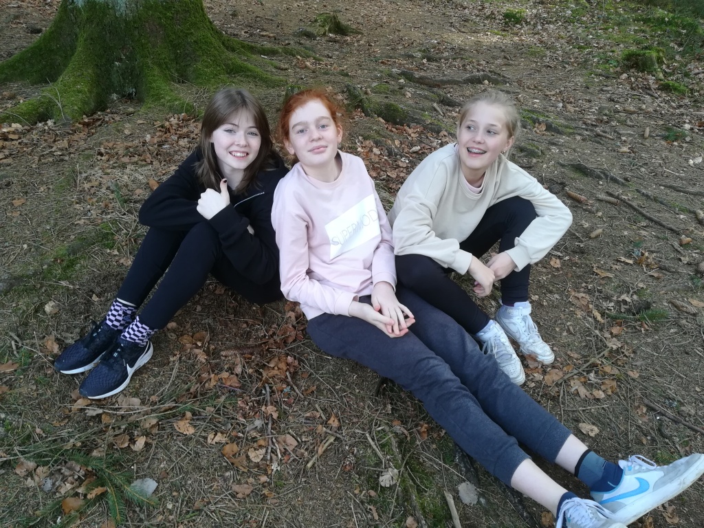 Willekeurige afbeelding uit het fotoalbum