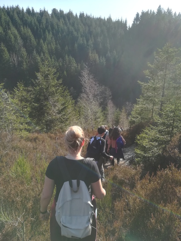 Willekeurige afbeelding uit het fotoalbum