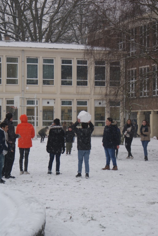 Willekeurige afbeelding uit het fotoalbum
