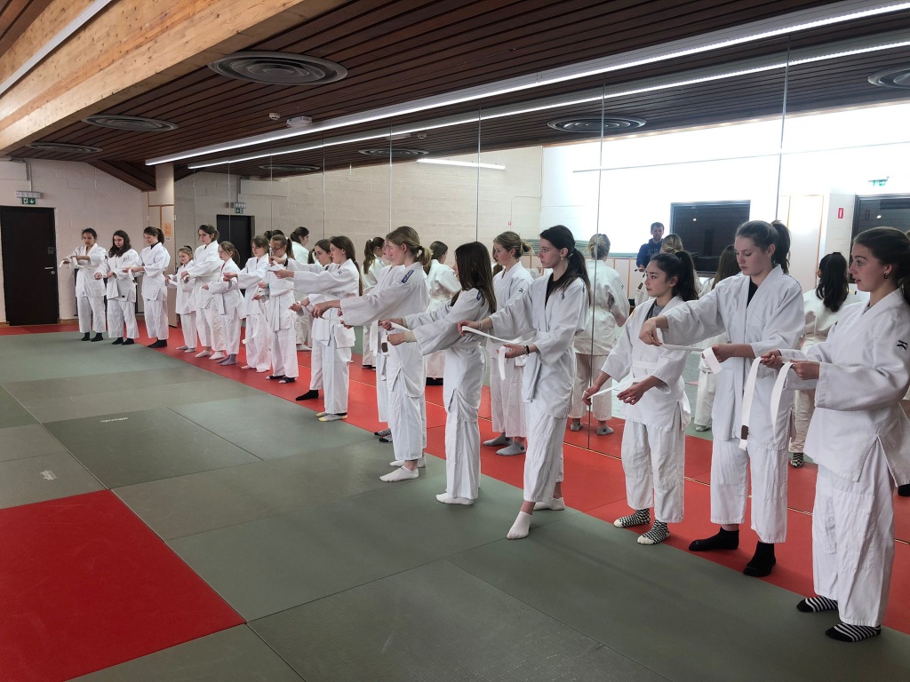 Willekeurige afbeelding uit het fotoalbum