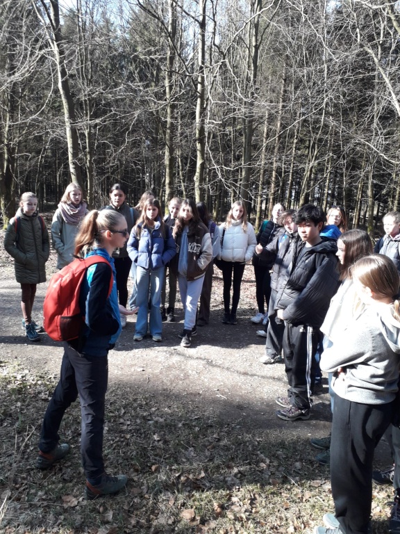 Willekeurige afbeelding uit het fotoalbum