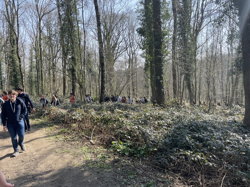 Willekeurige afbeelding uit het fotoalbum