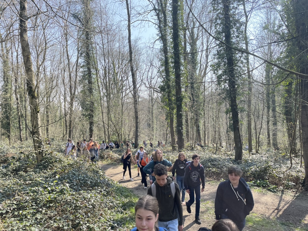 Willekeurige afbeelding uit het fotoalbum