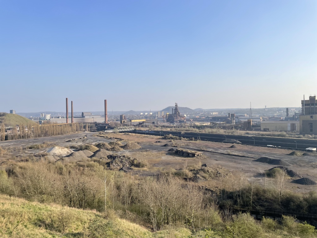 Willekeurige afbeelding uit het fotoalbum