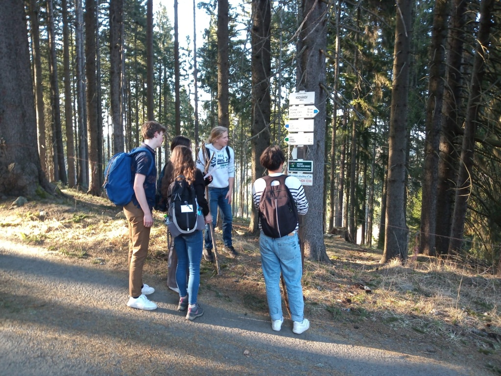 Willekeurige afbeelding uit het fotoalbum