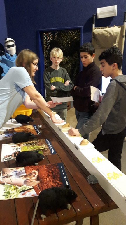 Willekeurige afbeelding uit het fotoalbum