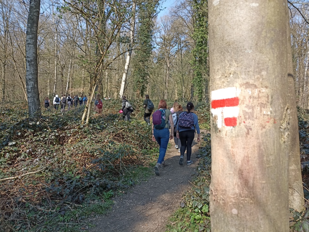 Willekeurige afbeelding uit het fotoalbum