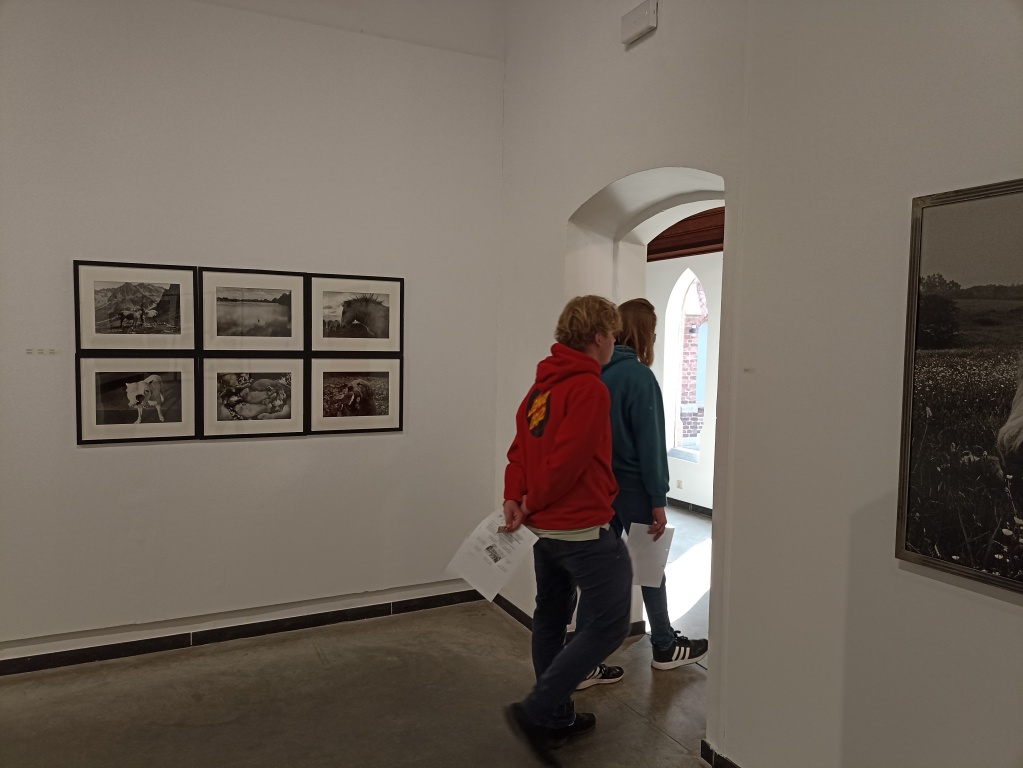 Willekeurige afbeelding uit het fotoalbum