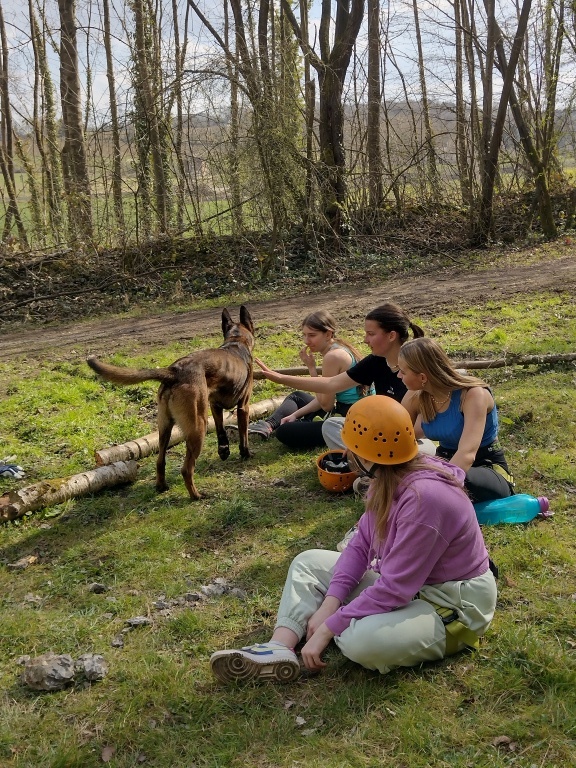 Willekeurige afbeelding uit het fotoalbum