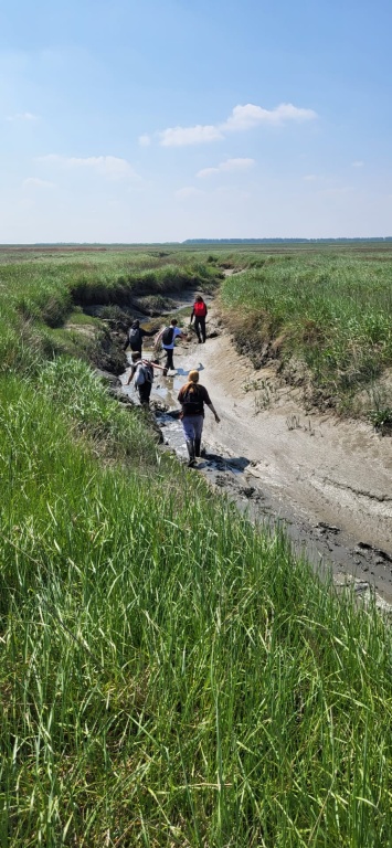 Willekeurige afbeelding uit het fotoalbum