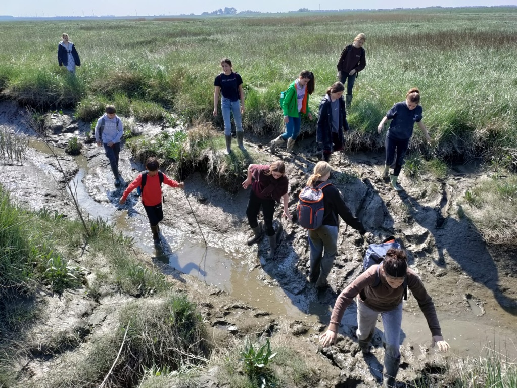 Willekeurige afbeelding uit het fotoalbum