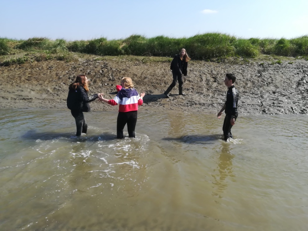 Willekeurige afbeelding uit het fotoalbum