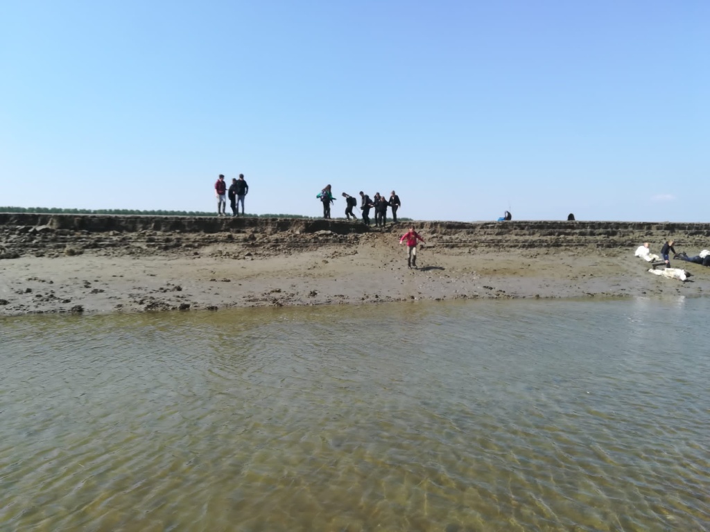 Willekeurige afbeelding uit het fotoalbum