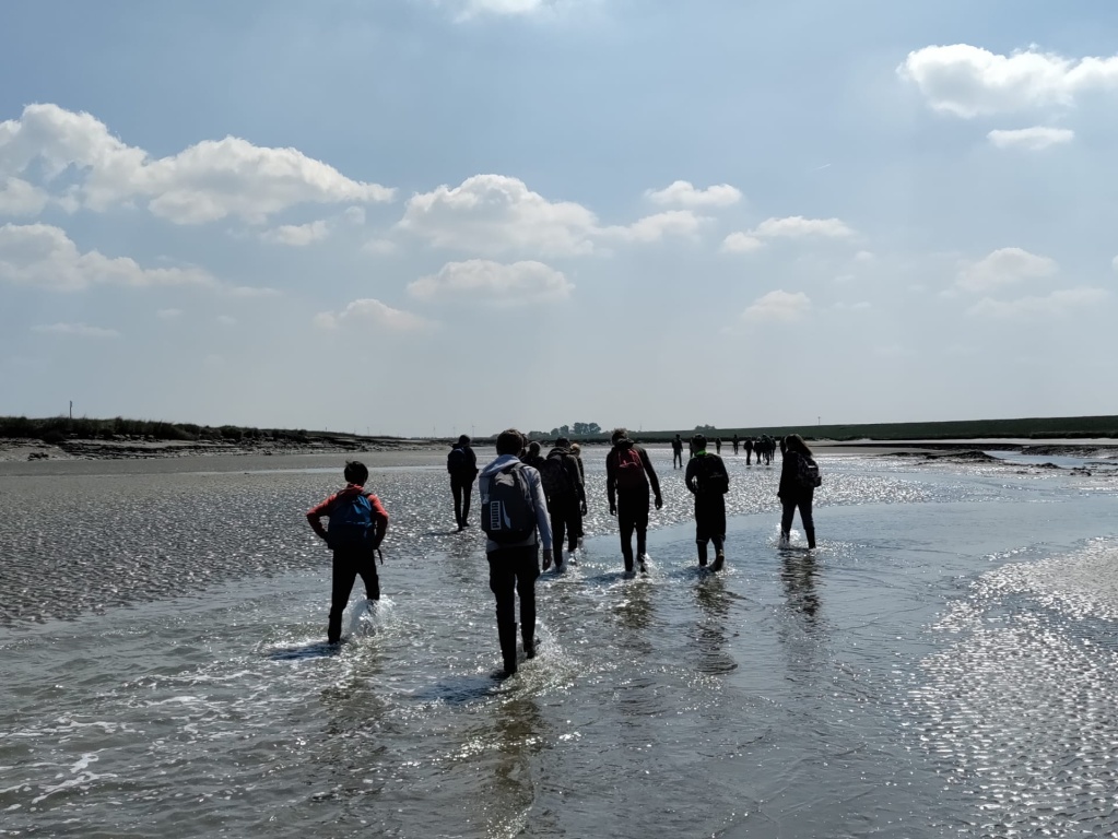 Willekeurige afbeelding uit het fotoalbum