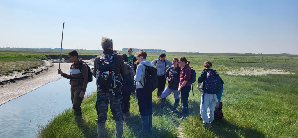Willekeurige afbeelding uit het fotoalbum