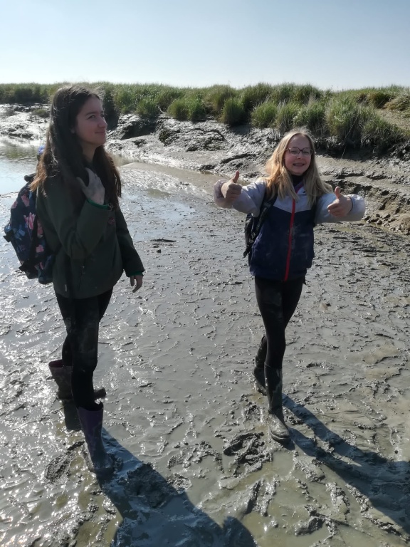 Willekeurige afbeelding uit het fotoalbum