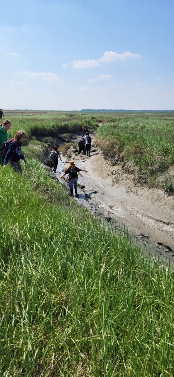 Willekeurige afbeelding uit het fotoalbum