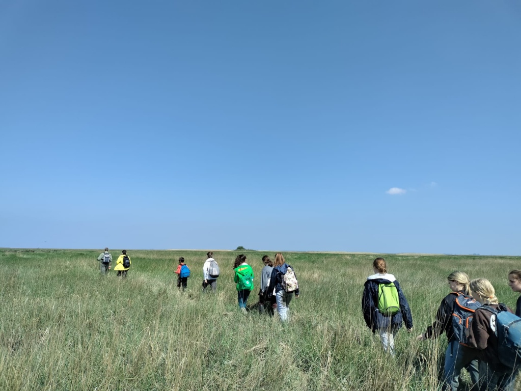 Willekeurige afbeelding uit het fotoalbum