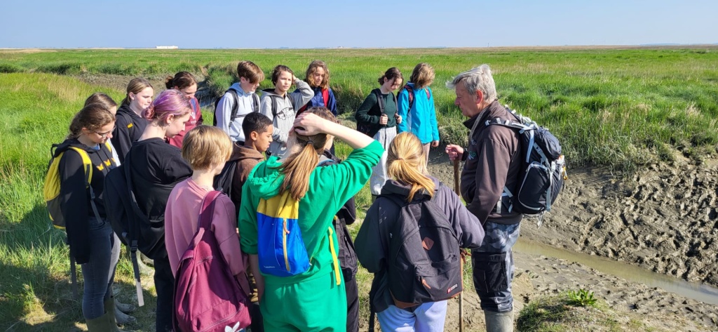 Willekeurige afbeelding uit het fotoalbum