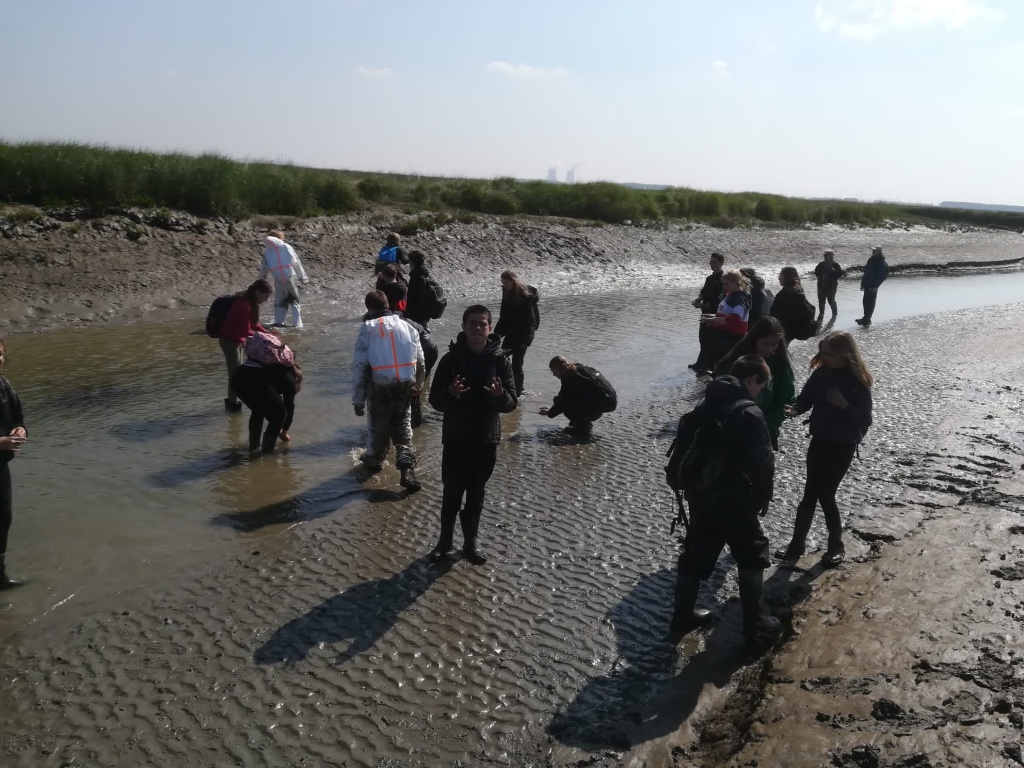 Willekeurige afbeelding uit het fotoalbum